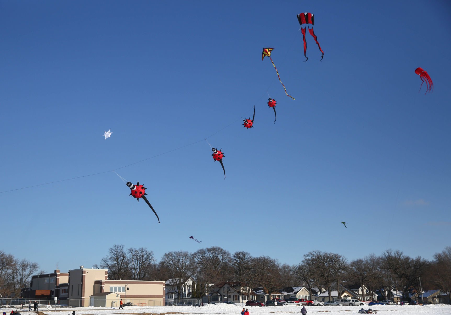 Color the Wind kite festival 02-15-2020 (25).jpg